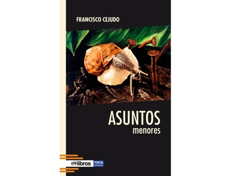 Livro Asuntos Menores de Francisco Cejudo Granado (Espanhol)
