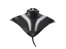 Rebe-figura De Mantarraya Simulada Em Miniatura Modelo De Animal Marino Brinquedo Educativo Decoração Para Casa