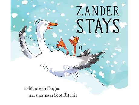 Livro Zander Stays de Maureen Fergus (Inglês - Capa Dura)