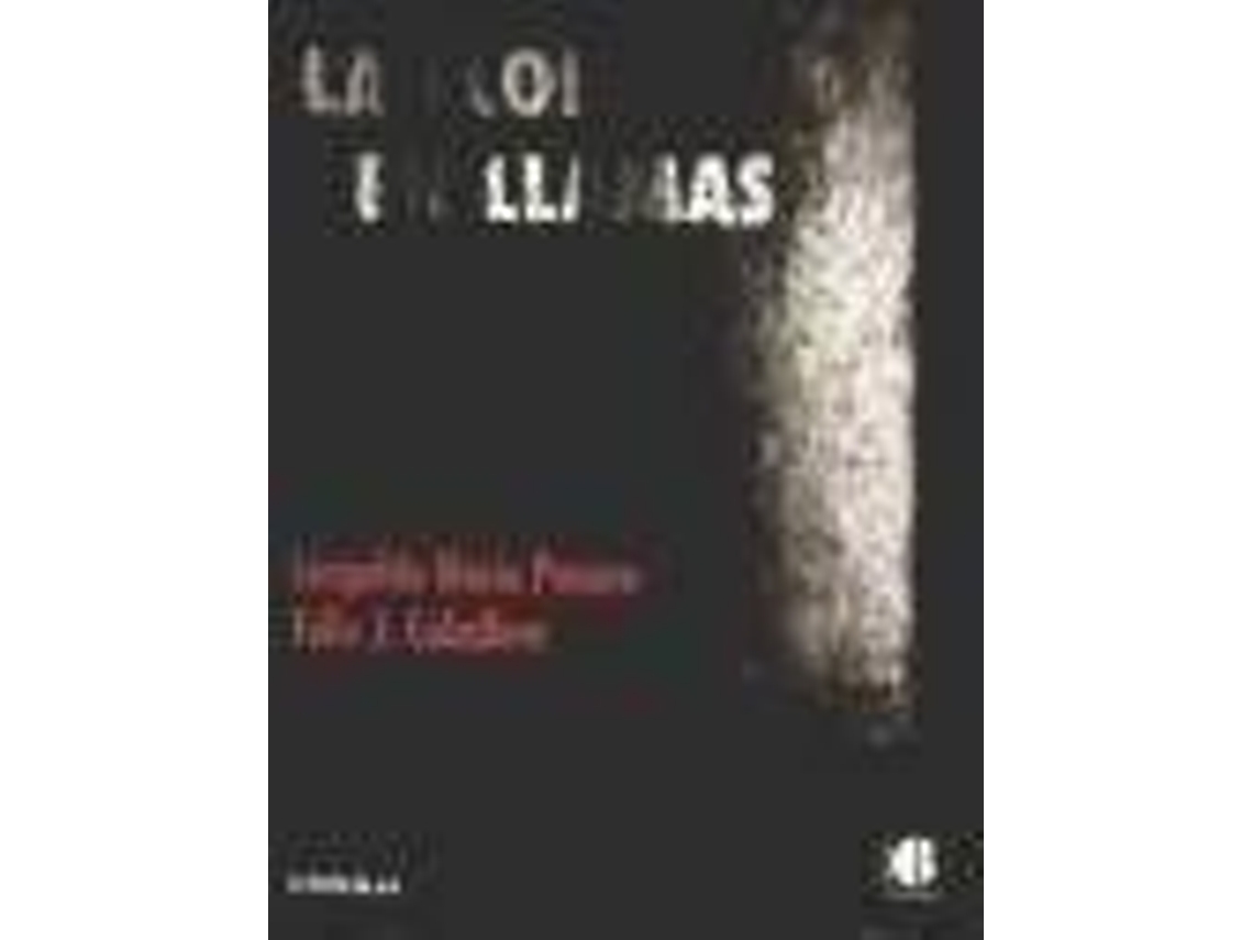 Livro La Flor En Llamas de Panero, Leopoldo Maria/Caballero et al. (Espanhol)
