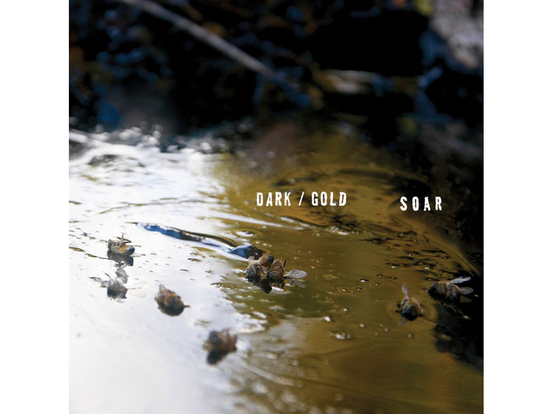 Vinil Soar  - Dark / Gold