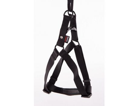 Arnês de cão: Um estilo simples e eficaz com a coleção Une Nylon da MARTIN SELLIER Noir 50 a 70 x L. 2
