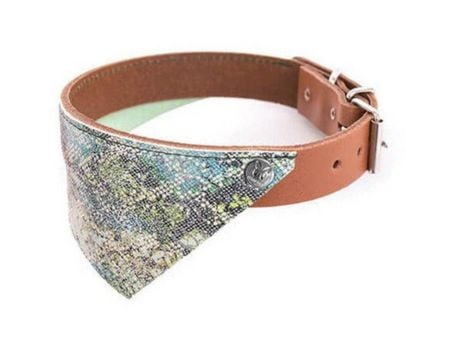 Coleira de Cão em Couro de Fluxo Completo com Lenço MARTIN SELLIER Camel 25 X L. 1.2