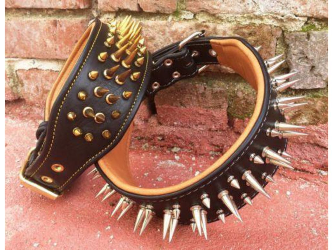 Coleira The Big Boy Dourado BESTIA CUSTOM DOG GEAR XXL Worten.pt