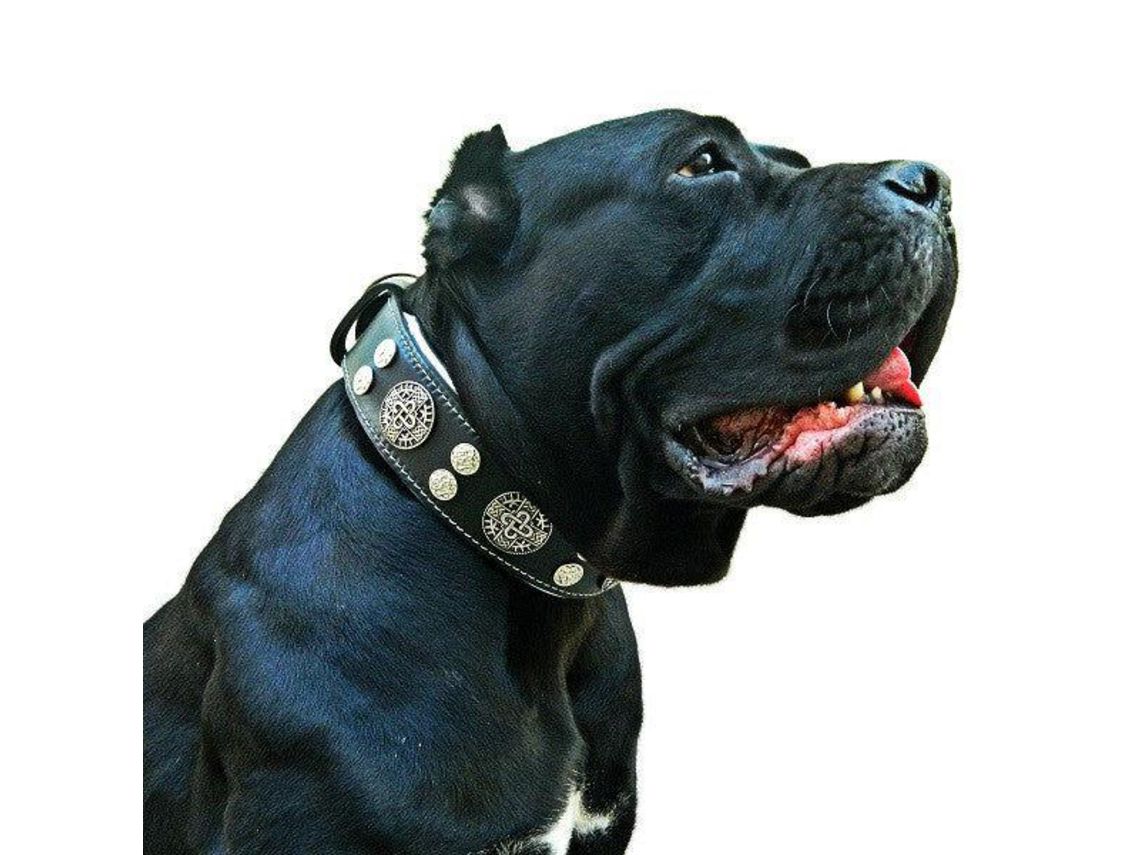 Bestia custom dog best sale gear