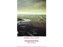 Livro Great Expectations de C Dickens (Inglês)