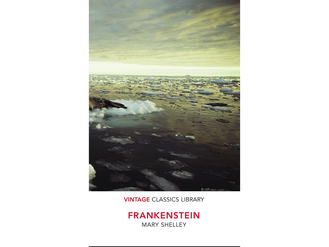 Livro Great Expectations de C Dickens (Inglês)