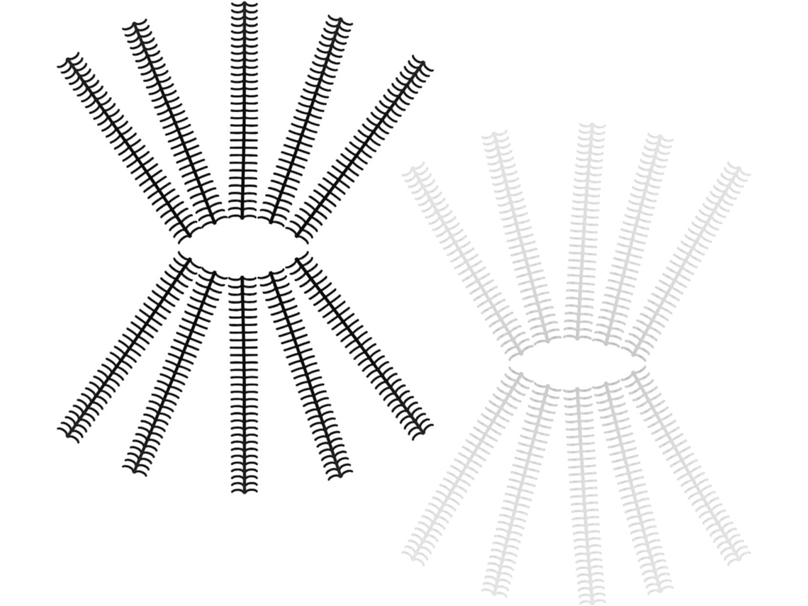 Conjunto de 20 argolas de plástico com 30 etiquetas para documentos, ideal para organizar arquivos, documentos de mesa e cadernos escolares.