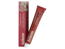 Exitenn Professional Cor Creme Intense Blonde 11Int