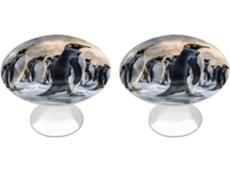 Conjunto De 2 Puxadores Aço Inoxidável Para Armários Cozinha, Com Design Personalizado De Pinguim Do Mar Ideais Para