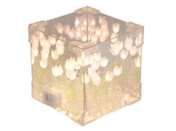 Primerox luz de Noite de Tulipa 2 em 1 Espelho Cubo Led Decorativa Diy Presente Aniversário
