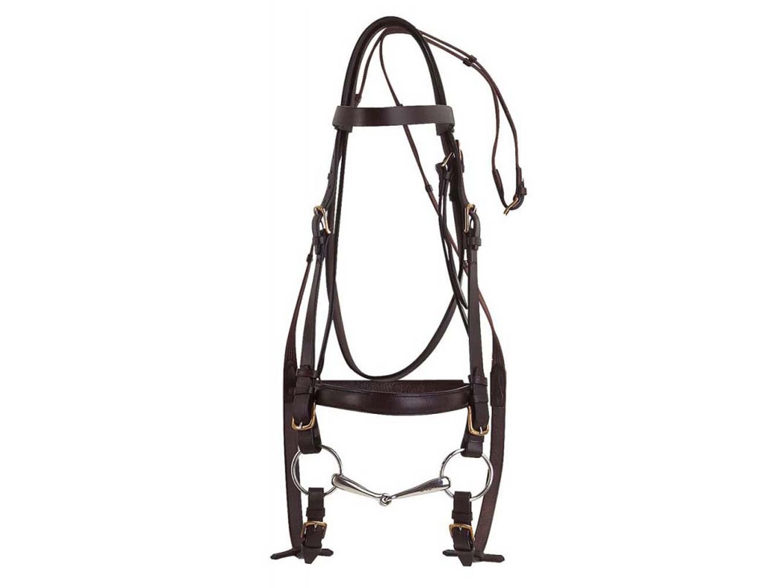 Cabeçada Club Xfs Mf Preto Fullnorton Equestrian