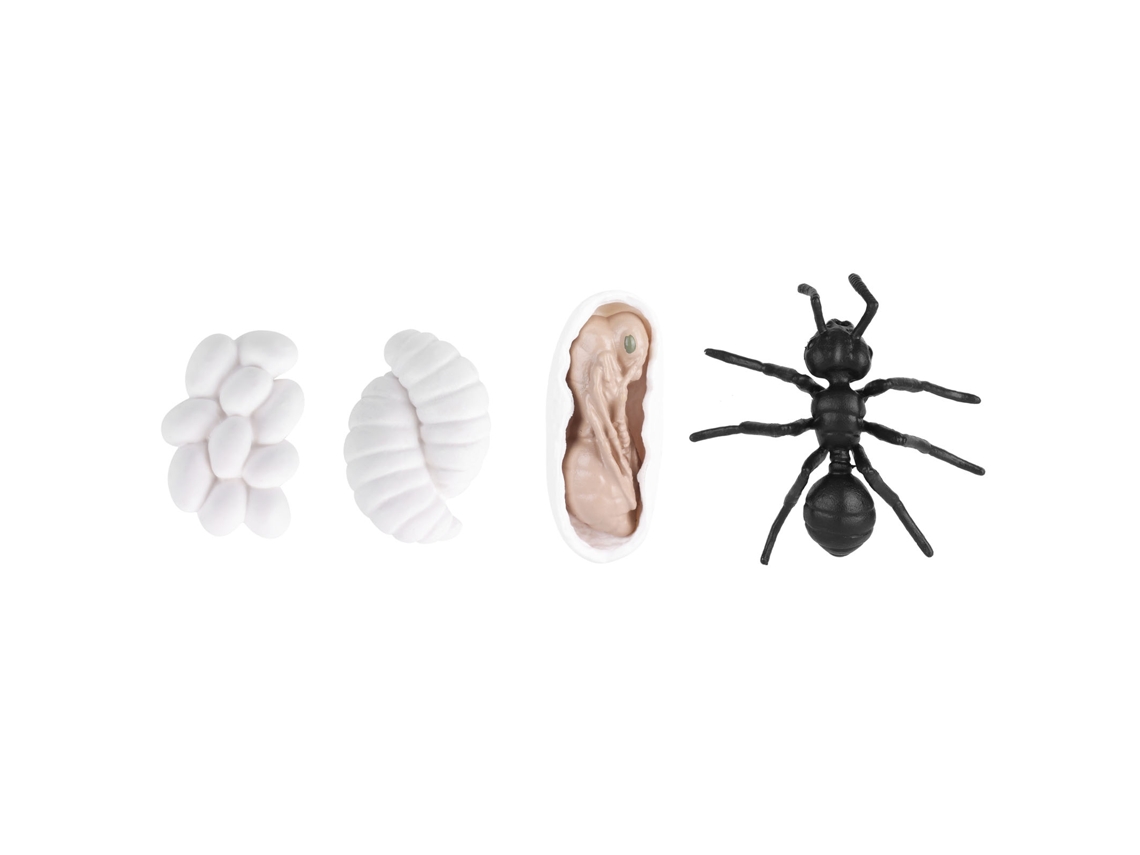 Mali brinquedo Educativo Ciclo de Vida Inseto Vinil Formiga Mosquito Modelo M4183