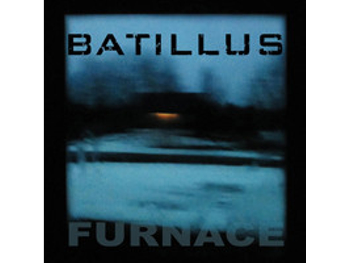 Vinil Batillus - Furnace
