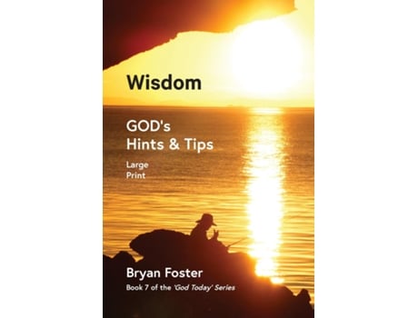 Livro Wisdom Gods Hints And Tips De Foster, Bryan Et Al. (inglês)