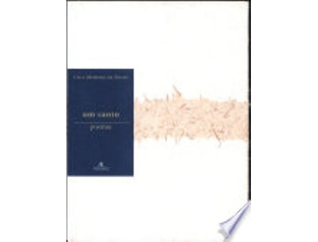 Livro UM CANTO de SOUZA, CACA MOREIRA DE (Português do Brasil)