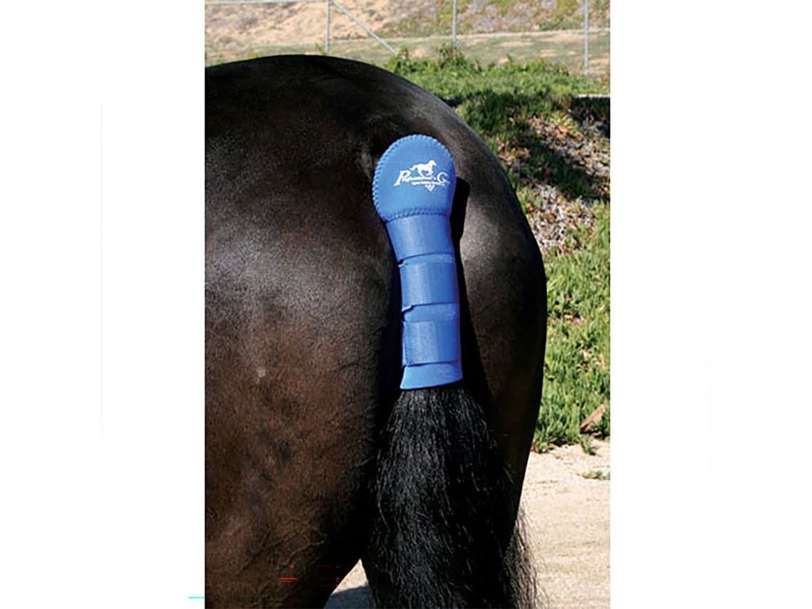 Protetor de Cauda de Neoprene Azulprofessionals Choice