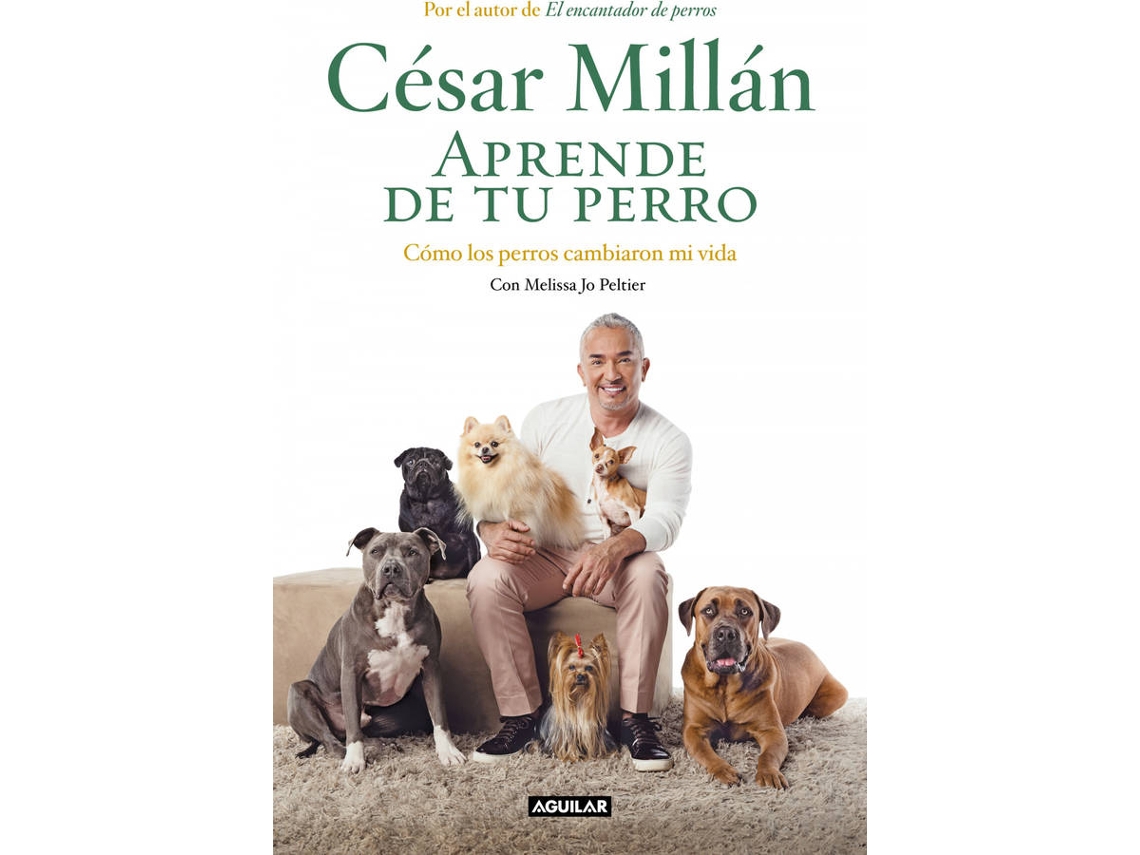 Livro Aprende De Tu Perro de César Millán (Espanhol - Capa Dura)