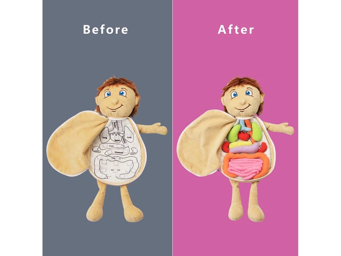 Primerox brinquedo Anatômico Corpo Humano Boneca com Órgãos Removíveis Educativo Infantil
