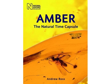 Livro Amber De Andrew Ross (inglês)
