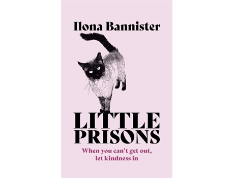Livro Little Prisons de Ilona Bannister,  (Inglês)