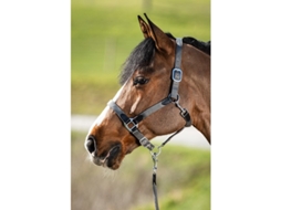Cabresto com Corda Nylon Neoprene Smart HFI
