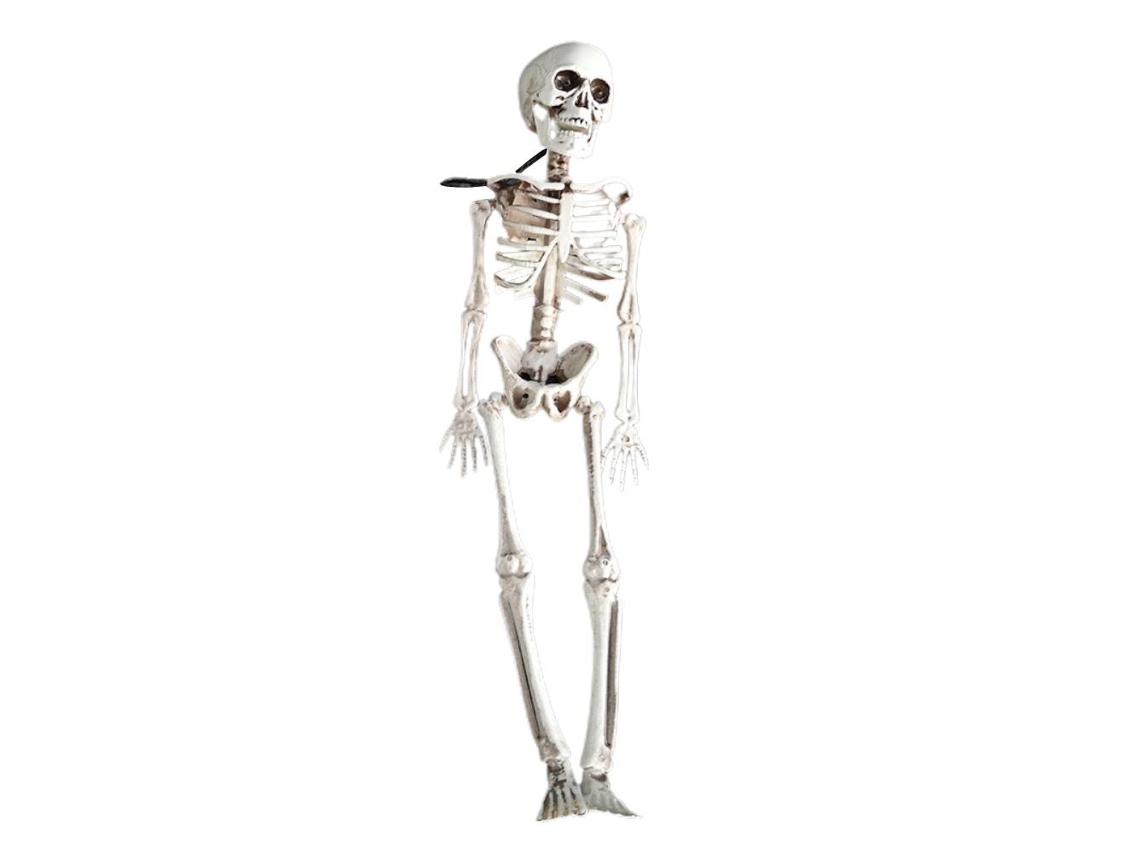 Esqueleto Decorativo Halloween 40cm Para Decoração Casa