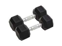 Conjunto 2 Haltere VIDAXL Ferro