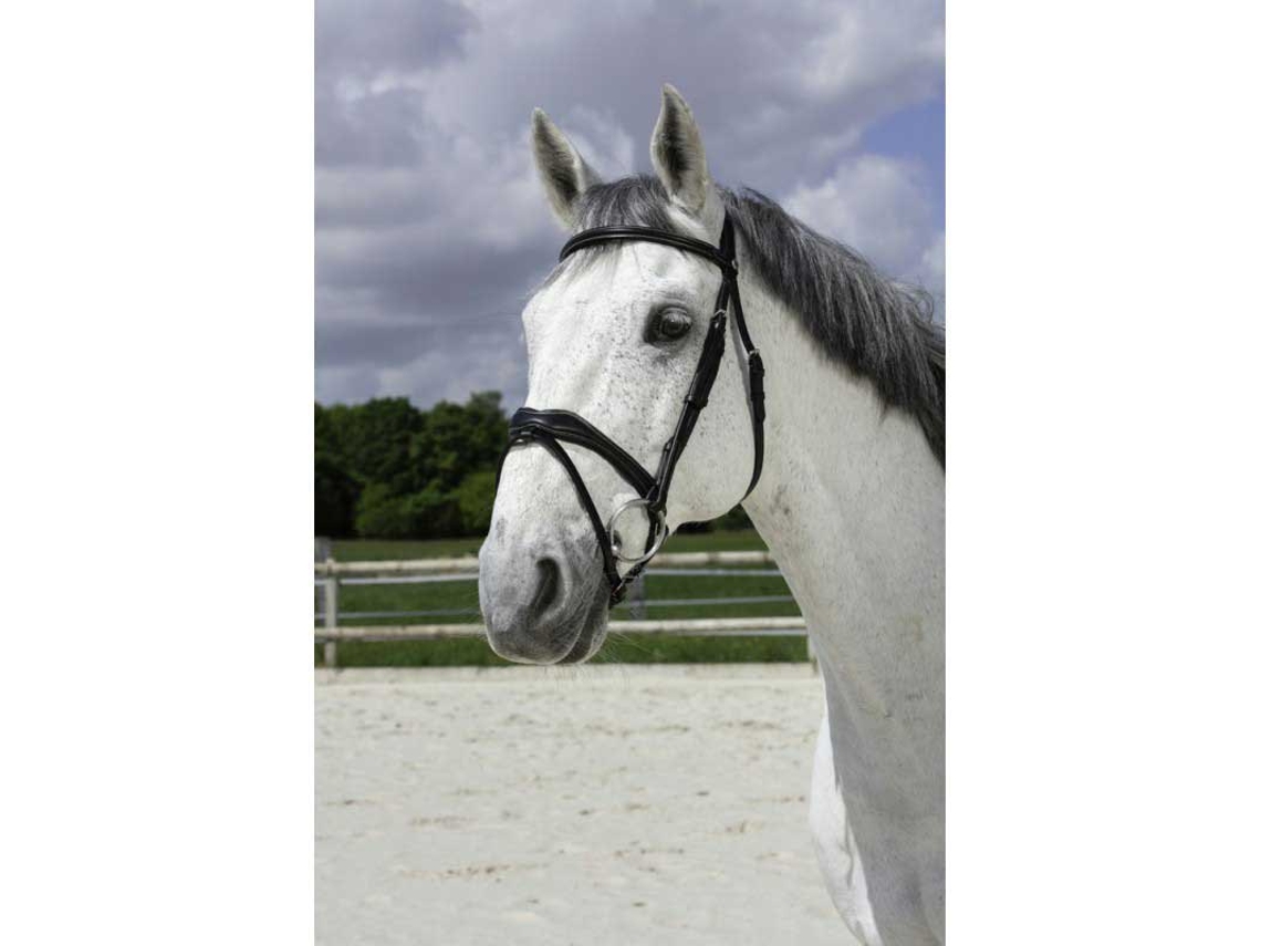 Cabeçada Vague Cinzento Cobnorton Equestrian