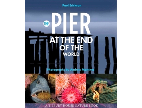 Livro the pier at the end of the world de paul erickson (inglês)