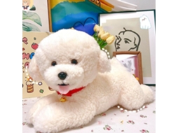 Pelúcia Teddy Puppy, Bichon Frisé Macio E Fofo, Brinquedo