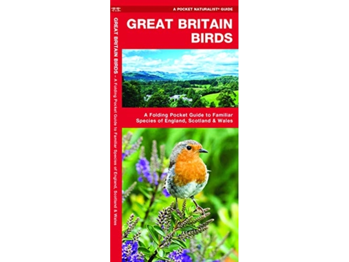 Livro Great Britain Birds de James Kavanagh (Inglês)