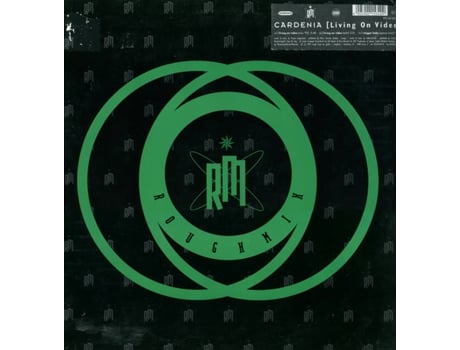 Vinil Living On Video Roughmix