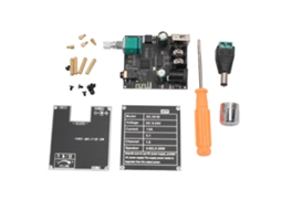 Módulo Amplificador Bluetooth 5.1 Monofônico 30w Tpa3110d2 com App