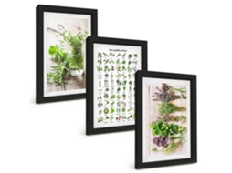 Pinturas Murais Modernas Ervas Secas Para A Cozinha Moldura Preta Fotos Para O Corredor Espelharte (3 Peças 20x30 Cm)