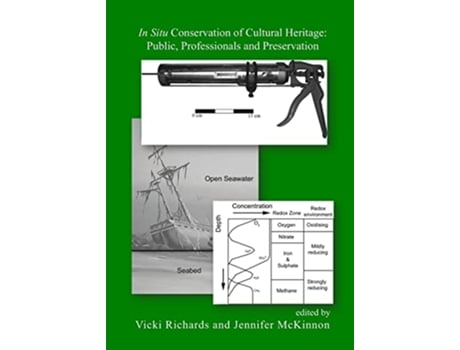 Livro In Situ Conservation of Cultural Heritage Public Professionals and Preservation de Flinders University (Inglês)