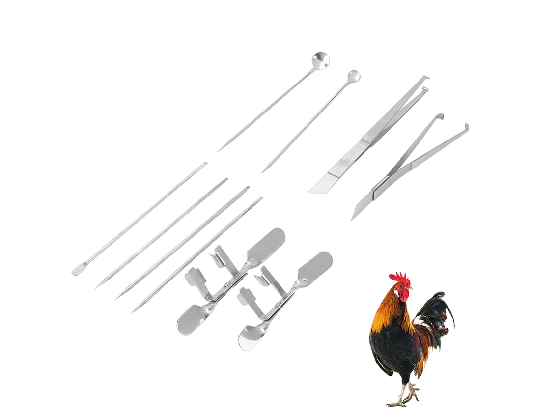 Kit Ferramenta Castração Galos 10pcs Aço Inoxidável Equipamento Granja Avicultura | S/MARCA