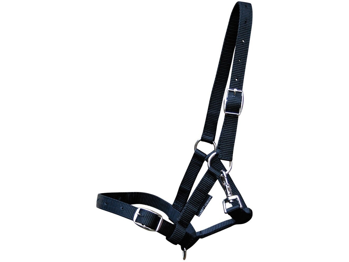 Cabresto para potro Harry's Horse