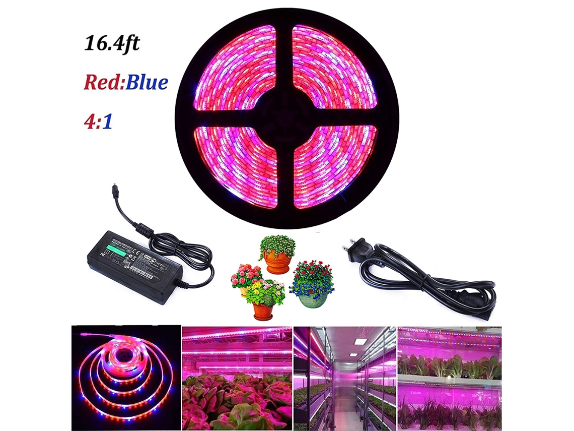 Luz Crescimento Plantas Led À Prova D'água 300led Estufa Hidroponia S/MARCA
