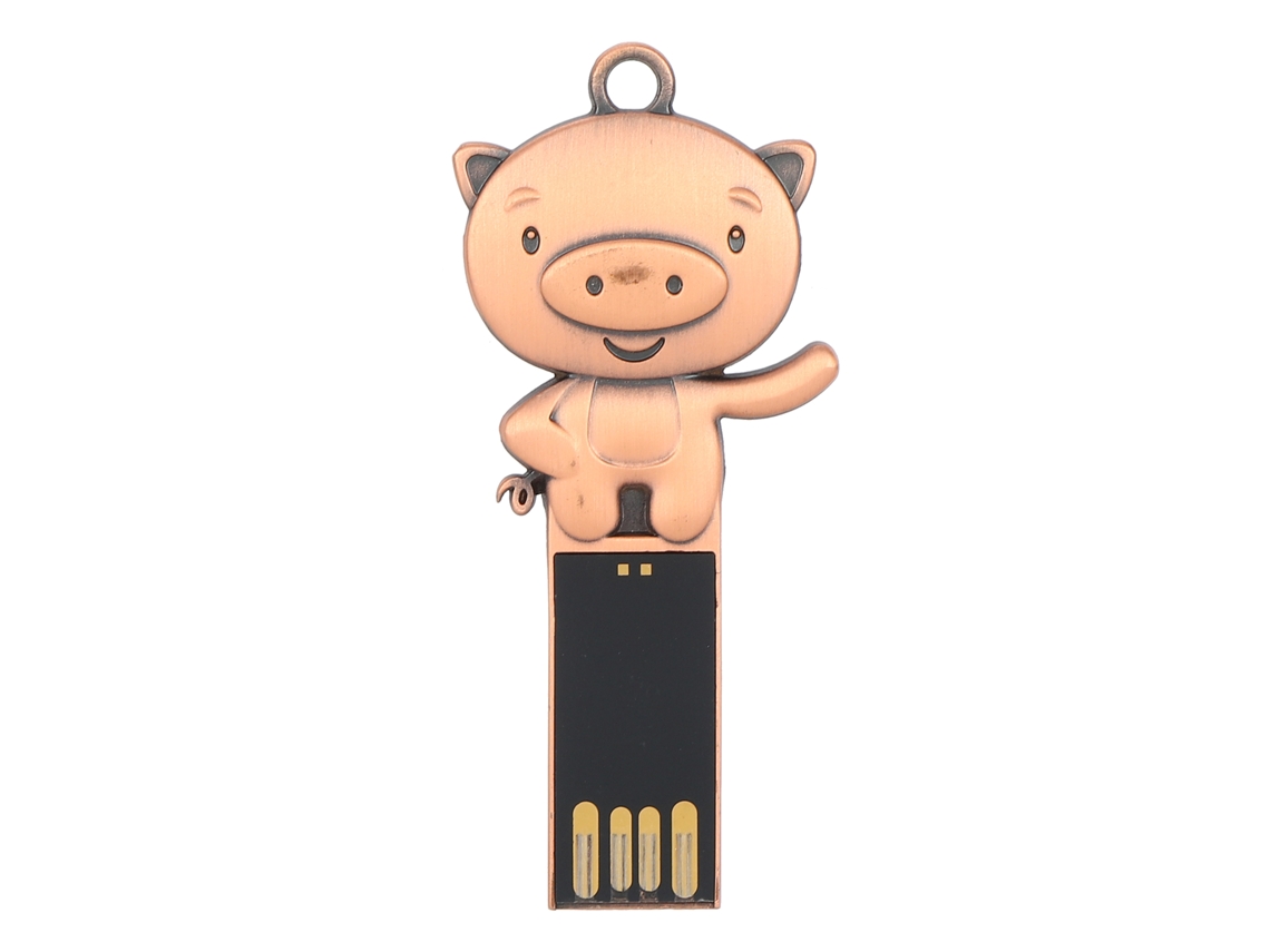 Pen Drive Portátil À Prova D'água LAXISCREED