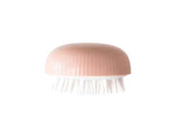 Shampoo Para Cabelo, Escova Para Couro Cabeludo, Escova De Massagem Corporal, Pente, Condicionador, Limpeza, Cuidados Com A Cabeça Jinyubo Store