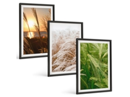 Conjunto De Pinturas Grama, Natureza Colorida Moldura Preta Quadros Para A Sala De Estar Espelharte (3 Piezas De 40x60 Cm)