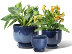 Potes De Cerâmica Para Planta - 6,8/5,5/4,3 Polegadas De Planta Com Buraco De Drenagem E Assento Para Suculenta, Orquídea, Flor, Ervas, Cacto - Decora