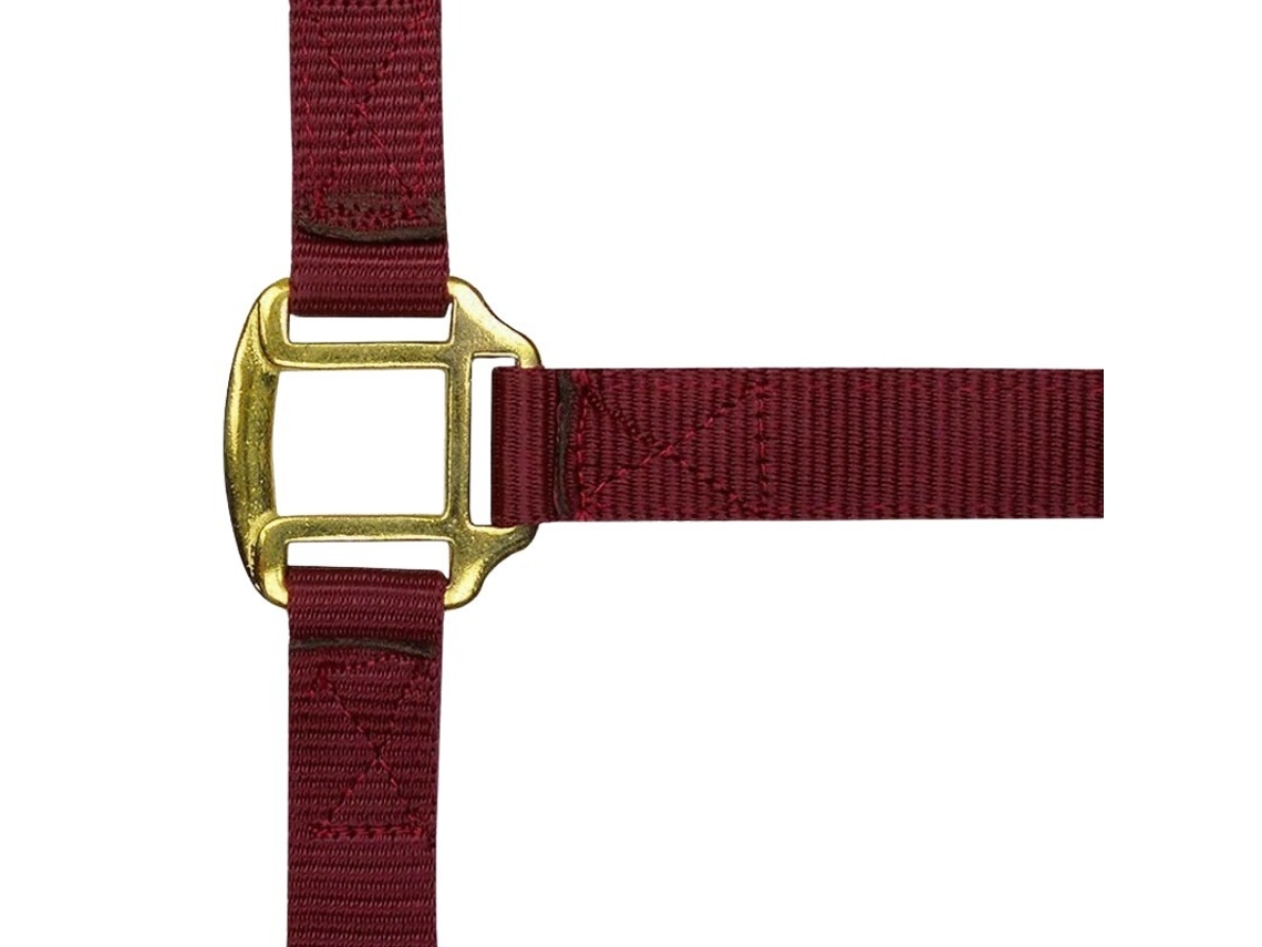 Cabeção NORTON Doublé Cuir Bordeaux