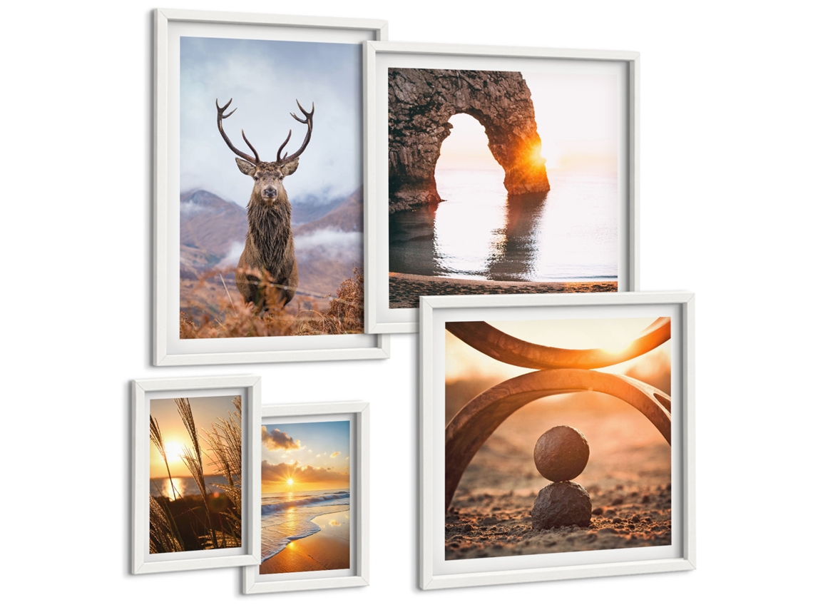 Conjunto De Pinturas Natureza Animais Selvagens Em Harmonia Espelharte (5 Peças)