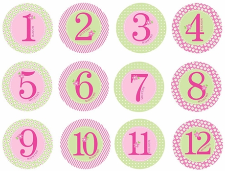 Autocolantes  First year belly stickers