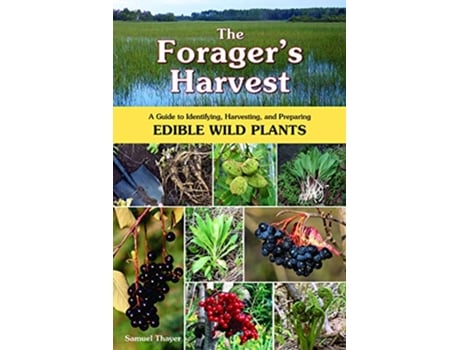 Livro The Foragers Harvest A Guide to Identifying Harvesting and Preparing Edible Wild Plants de Samuel Thayer (Inglês)