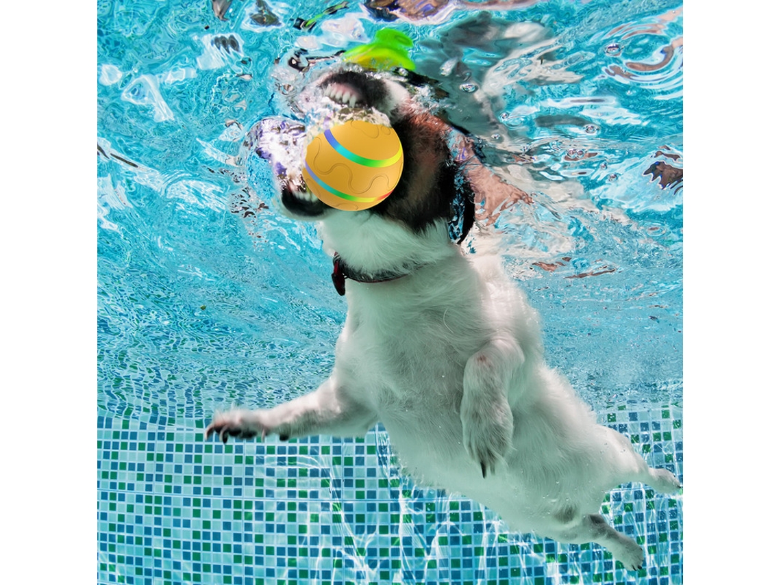 Semd Bite Resistant Remote Control Pet Toy Automatic Dog Cat Toy Ball