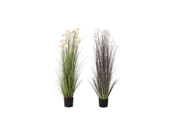 Planta Decorativa DKD HOME DECOR (Multicor)