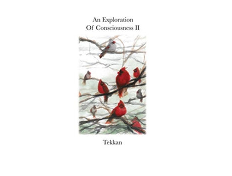 Livro An Exploration of Consciousness II II de Tekkan (Inglês)